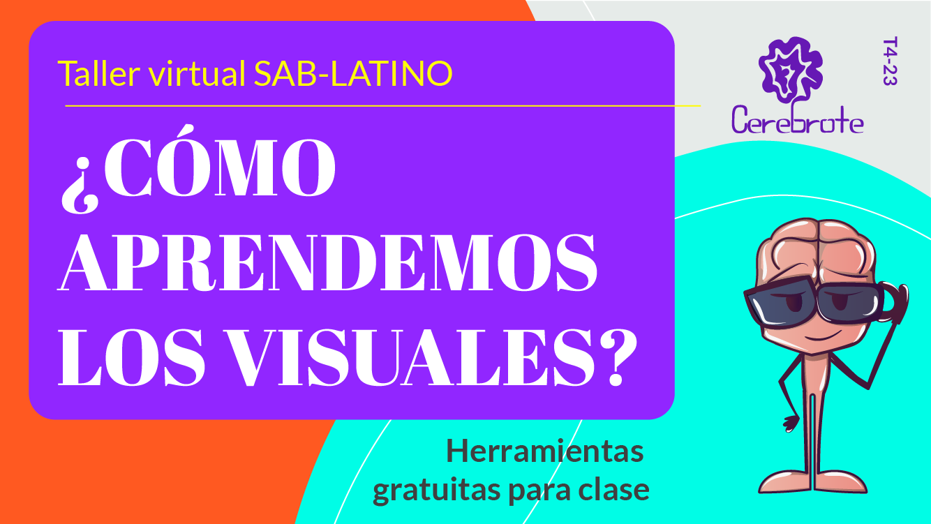  Aprendizaje visual: cómo ayudar a los estudiantes visuales a comprender mejor